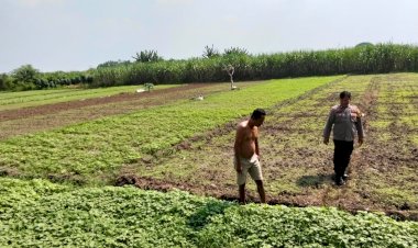 Kanit-Binmas-Prambon-Patroli-Sambang-Petani-Dukung-Ketahanan-Pangan